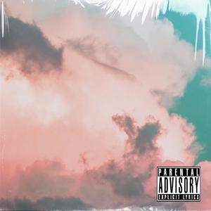 【免费可商用Free beat】悬崖边上的花 emo type beat