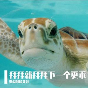 拜拜就拜拜下一个更乖