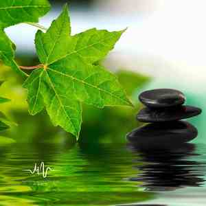 北染陌人 (静心)