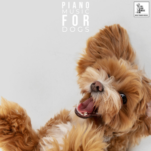 Peaceful Music For Pets