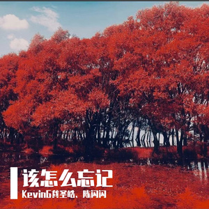 该怎么忘记（Feat.陈闪闪）