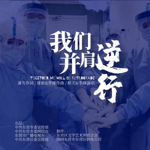 我们并肩逆行 伴奏