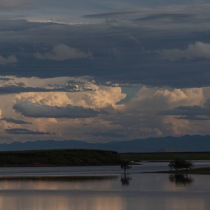 【Free】“海 做 了 梦”