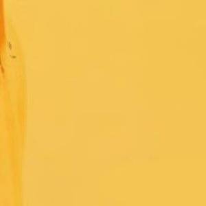 午后的欢乐时光