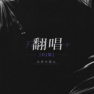 当初的爱情匆匆走过【DJ版】