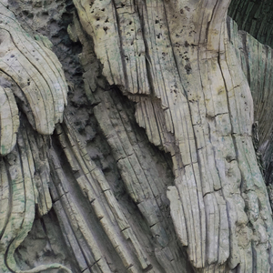 我不在你身边的时候你给我老实点