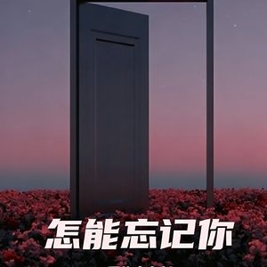 怎能忘记你