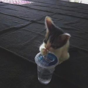 卧室freestyle（Prod by.L11PS）