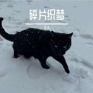 碎片织梦