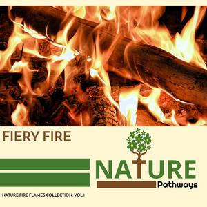 Daytime Burning Fire