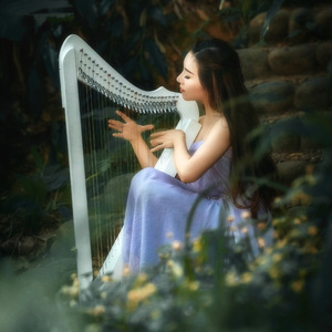 森林竖琴·谧境