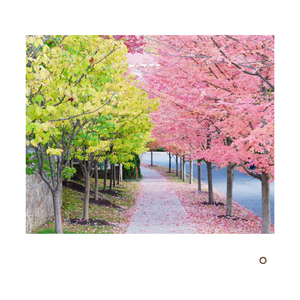 好きだから。 (Duo Guitar)