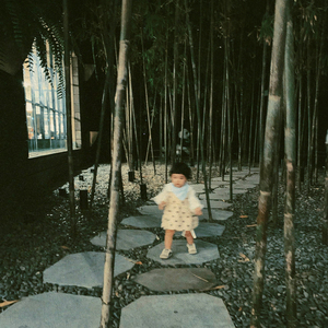 岑静の世界 (演奏版)