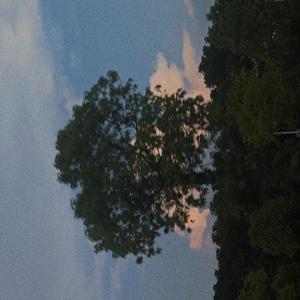 味道（Prod by NeonMusic）