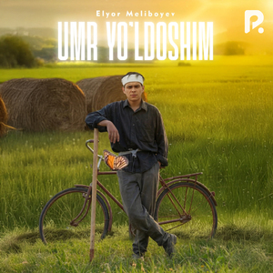 Umr yo'ldoshim