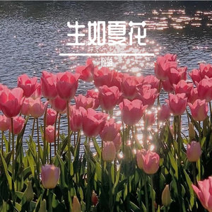 生如夏花