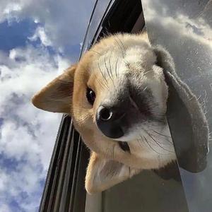 Cover《叫我怎么说》