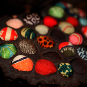 해바라기 Sunflower