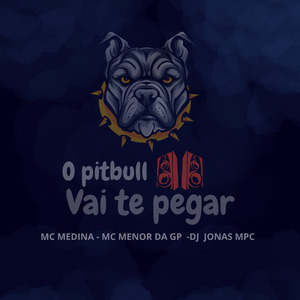 O pitbull vai te pegar
