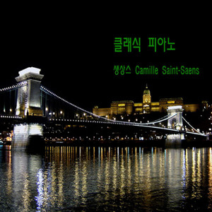 생상스 피아노 협주곡 2번 1악장 Piano Concerto No 2 Op 22 1st Movement