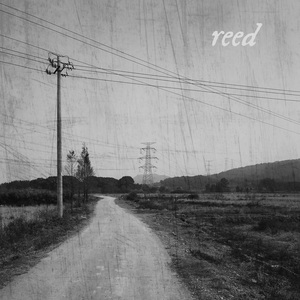 reed (DEMO)
