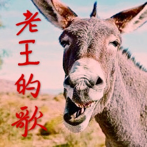 老王的歌