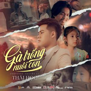 Gà Trống Nuôi Con