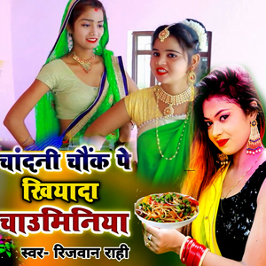 Chandani Chauk Pe Khiyada Chauminiya
