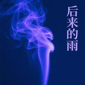 后来的雨