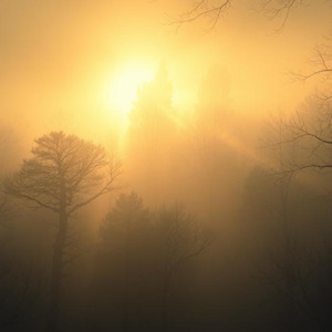 霧のヴェールを抜けて