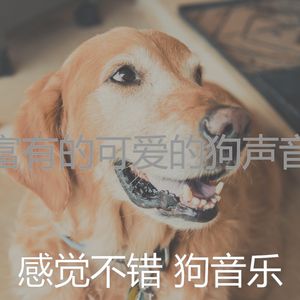 抚慰的可爱的狗回忆