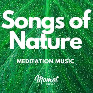 Yoga Meditation Nature