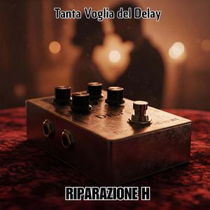 Tanta Voglia del Delay