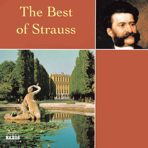 Hunting Polka (Auf der Jagd, Polka schnell), Op. 373 [Instrumental]