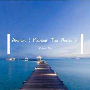 Martin Garrix-Animals（Position Two remix）