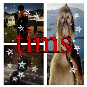 tims