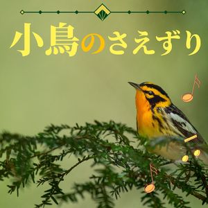 眠りの森