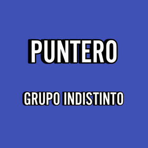 Puntero