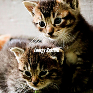 Spectacular Backdrops for Ethereal Momentum