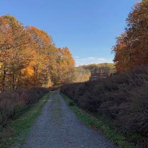 It’s Getting Colder (Perfect As Of Now?)