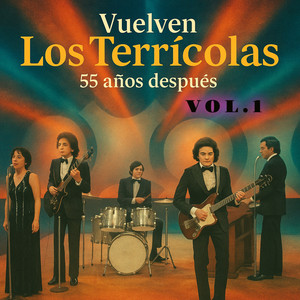 Mi guitarra esta de luto