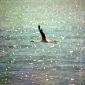 Babylon (feat. sodaa)