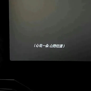 BINGBIAN病变女声版（片段）