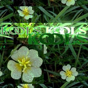 KOOLs
