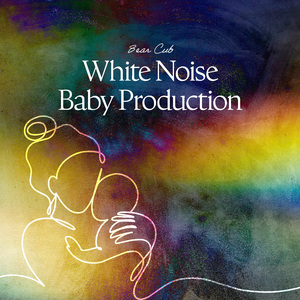 Multi Filtered White Noise
