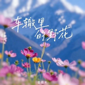 车辙里的野花