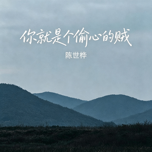 你就是个偷心的贼