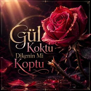 Gül koktu dikenin mi koptu