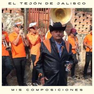 Tóquenme La Banda (Mariachi)