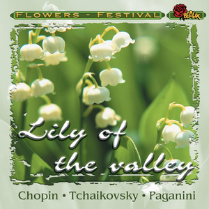 Canon in D major for Strings